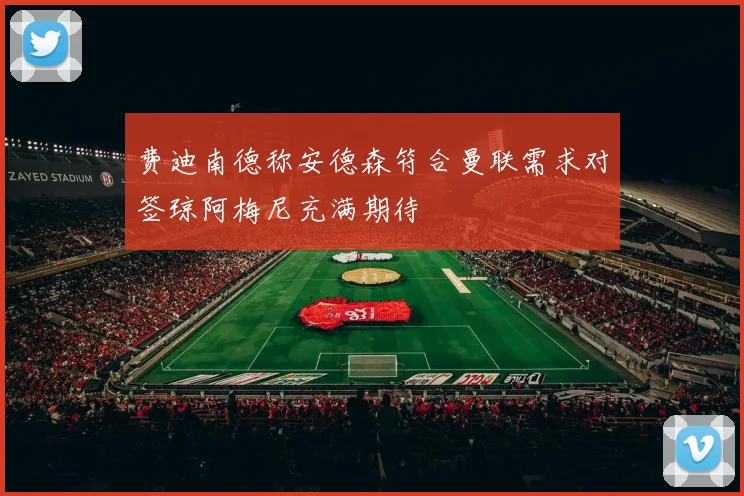费迪南德称安德森符合曼联需求对签琼阿梅尼充满期待